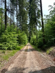 1bffa74e-7d2d-4cd5-a5e3-e170370fc95f