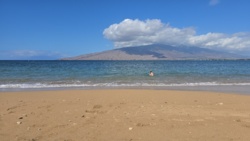 d9e8bf14-0da6-4af1-948e-8a2df5cbcb74