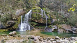 7b22ec11-d664-4114-80f6-9769d2f6793d