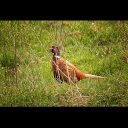 f1b92e87-8c03-4aad-9a09-b47853d66b00