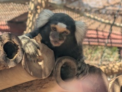 d16a7e8b-7947-48a4-8f10-198dbb4a1039