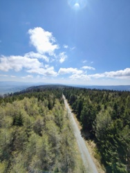 81c31fa5-2b9d-432f-b084-bb25cfbba828