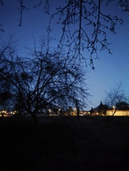 549aa7c1-1b9b-4205-91c9-42b432da304c