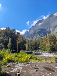 3e3559d7-9f0d-4a3d-a116-3e03484182d6