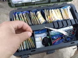 1eba8463-35fa-4da2-ad54-c79302d53b9b