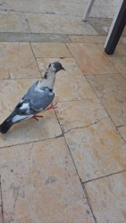 35b120c2-3c0c-45d9-b534-5ef33c667eda