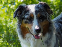 3aa6a8e0-c84b-4d4e-a711-cf7ca7ebb383