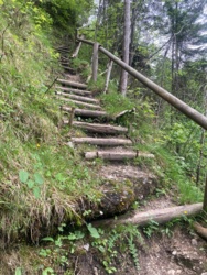 521801d1-433a-45d3-ab4a-8a6a13e03c9a