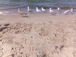 74758f18-1328-43d0-8ba6-f32a5535762c