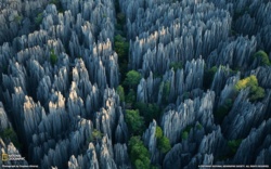 c5be5bca-b4ea-4897-83de-5bd2cfb1e4ae