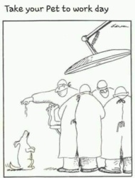 fe35440b-81f6-4107-bb79-a4ca395beac5