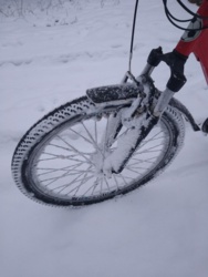 687e4509-0ad3-4bb6-9d7a-259d756e5300