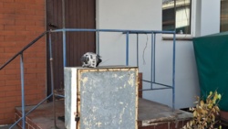 014bb2fb-1d19-4b12-80d5-d61e1c2fb9d0