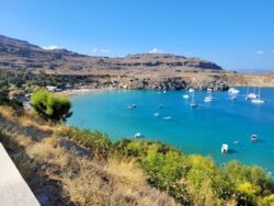 0d448946-2ab3-439e-8001-4787621976f2