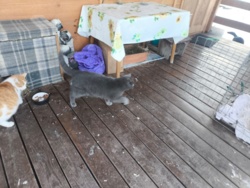 3c629a65-a255-442a-9ef5-a0309faf003b