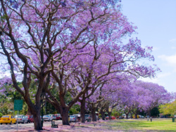 4b1f2447-69d0-4d26-805d-e6be308130eb