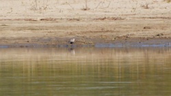 92b200e7-0d26-4ba3-931b-3b2df7c941f1