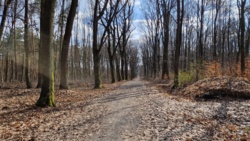 05ccd7b0-5888-4ed0-9ac3-5b13e7d95a34