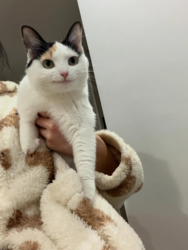 e05df310-4721-4848-8b12-0c79537f4e72