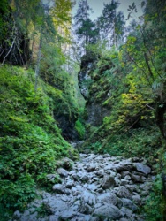 cce84698-fd3e-4584-9576-c84edcda949c