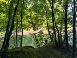 016210d8-7460-4849-b32d-fa6018b2f880