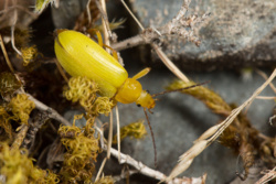 f9da6985-3147-4cbc-98a7-13d8b60436e6