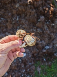 b62bd605-ae3d-4202-b6b6-f8cc8ccaed62