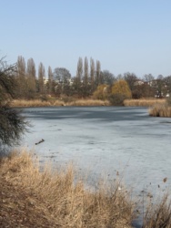 0f20dfb9-c5f0-453e-9815-6fee13de1bb3