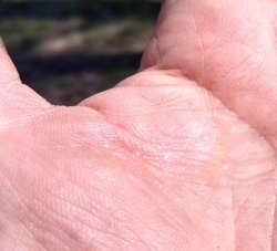 b0eed278-e8fe-4903-96e4-4ef257eb1182