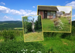 Wybrano najpiękniejszą wieś Dolnego Śląska. Słynie z Leśnych Duchów