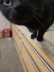 0047627c-dbc9-474f-8ff2-93604d11cb94