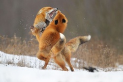 193a8a66-493d-4512-988c-e29562ade8ac