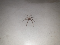 54e99e7f-aea7-462e-9838-09b8c28418c3