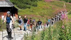 Turyści licytują się na zdjęcia z gór, zdobywając je quadami i paralotniami. Naczelnik GOPR: To szukanie guza