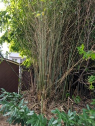 aa4775e7-8d8a-4f9b-8acb-366fc0c8eb58