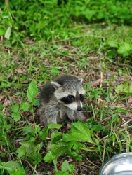 3fe5f84f-8fec-4e8b-9cd9-32f3dd470999