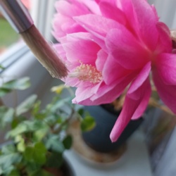 463dd230-8d52-46b6-99ba-3a60e9c0a912