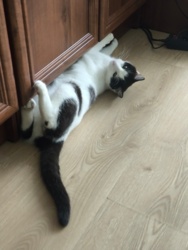 10dfbd50-b0c8-451a-81fc-6018e9c63504