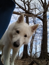 4e852dba-ca78-403f-afdc-89b6db81ab26