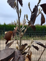 d9e68623-2b2d-4a73-a3cf-f201f4c9d1b8