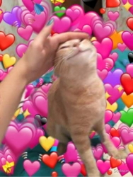 33cd9703-59f1-4a8b-9bad-64c8825e9d81