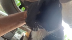 d6c2b18f-9b4b-48e8-a913-89438569d585