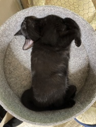 415cae46-391c-4215-aa0e-6b92a5e7ae3c