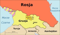 Niemcy: Cztery kraje NATO zaniepokojone trwającą okupacją gruzińskich terytoriów przez Rosję