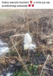 9fc5403a-35a0-4940-9e1f-a7243322b5a6