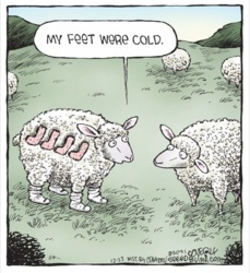 3db64ee9-a805-49e7-a7eb-665ea52be5fc