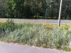 07dd2aeb-1761-4f78-b64d-72b91ccd252f