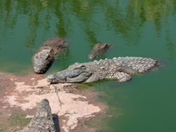 9b5b06ad-1ba0-4142-a7fc-4b5eaace24ec