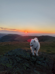 89c4f70f-3b69-4fe0-9f90-df1d27acb65a