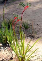 5185b9da-d3c5-40a1-8a12-e7012cbd280c